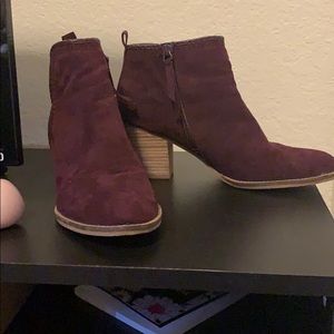 Burgandy seude booties. Brand is dolce vita.